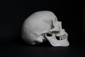 articulación temporomandibular